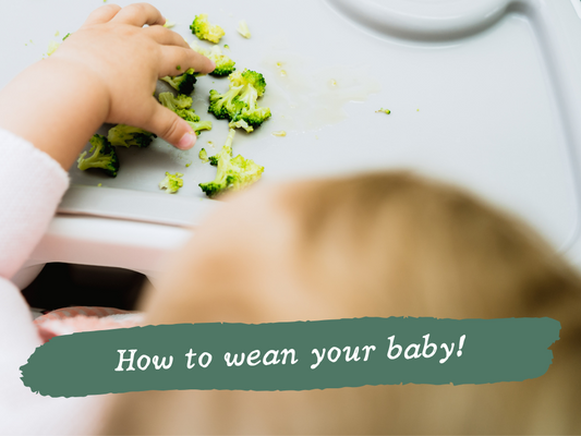 Dad feeding baby boy