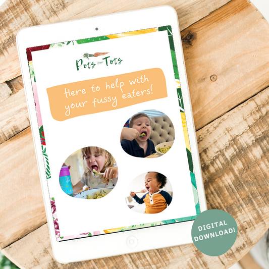 Fussy Eating Digital Guide