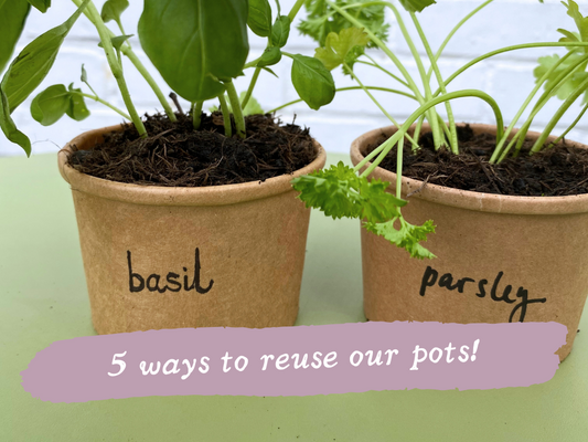 Five fun ways to upcycle your Pots for Tots pots!