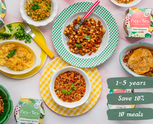 Bestsellers Bundle - 10 meals