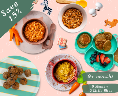 My First Meals Bundle